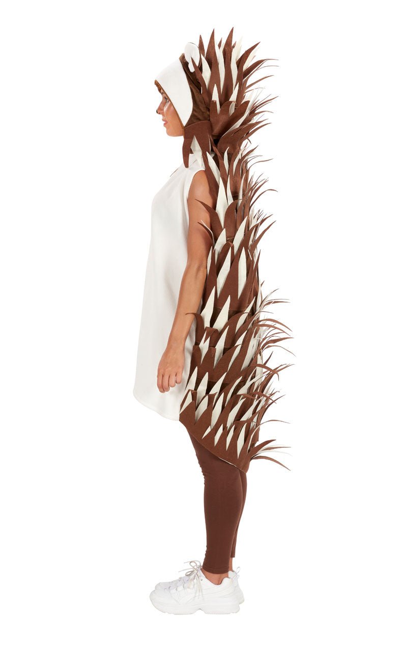 Adult Unisex Hedgehog Costume - Simply Fancy Dress
