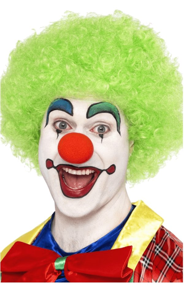 Green Clown Afro Wig - Simply Fancy Dress
