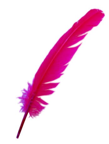 Magenta Turkey Broad Feather - Simply Fancy Dress