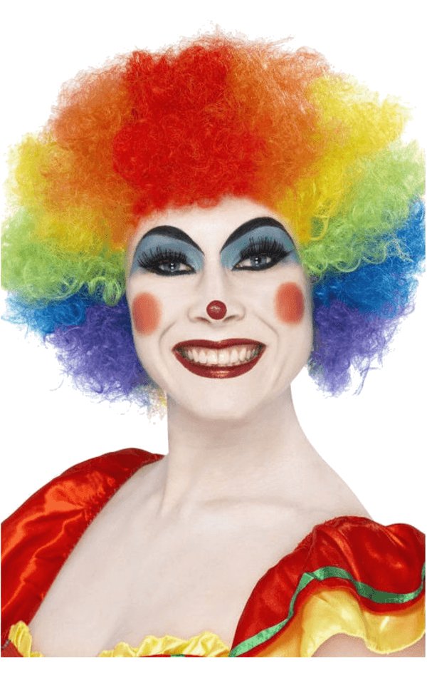 Rainbow Clown Wig Accessory - Simply Fancy Dress