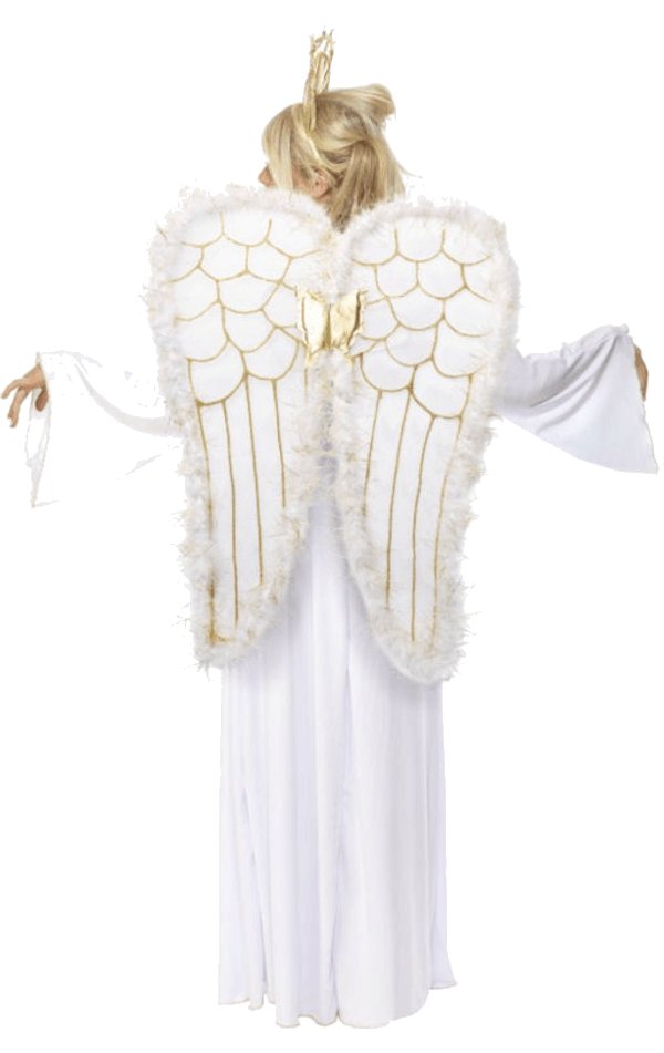 Adult Angel Costume with Wings - Simply Fancy Dress