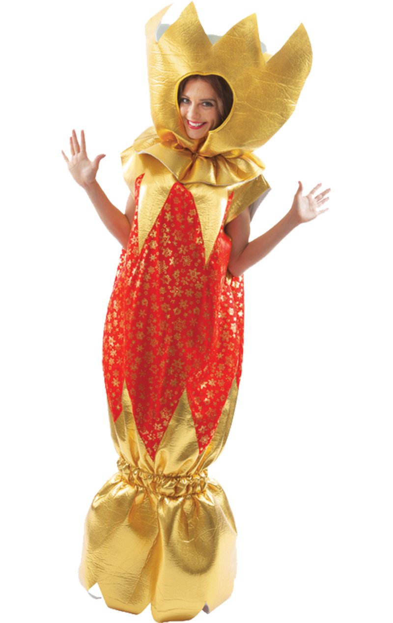 Adult Christmas Cracker Costume - Simply Fancy Dress