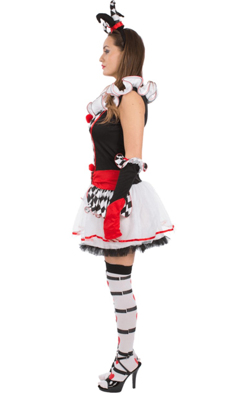 Adult Harlequin Jester Fancy Dress Costume - Simply Fancy Dress