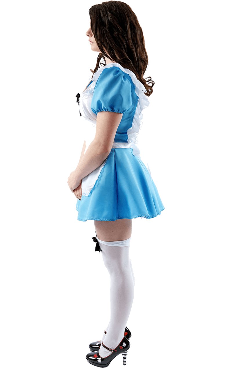 Adult Traditional Alice in Wonderland Costume - Simply Fancy Dress