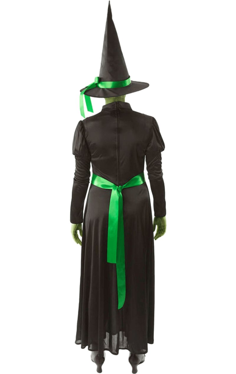 Adult Wicked Green West Witch Costume - Simply Fancy Dress