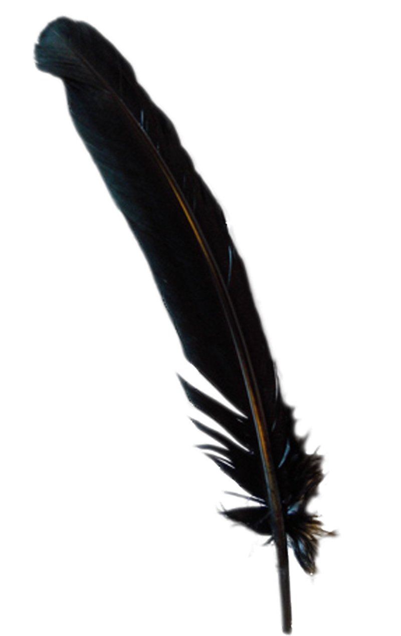 Black Turkey Broad Feather - Simply Fancy Dress