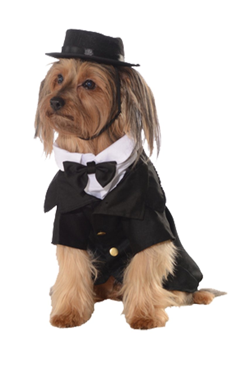 Dapper Dog - Simply Fancy Dress
