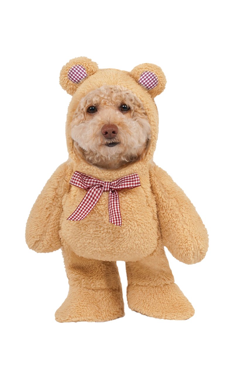 Dog Walking Teddy Bear Costume - Simply Fancy Dress
