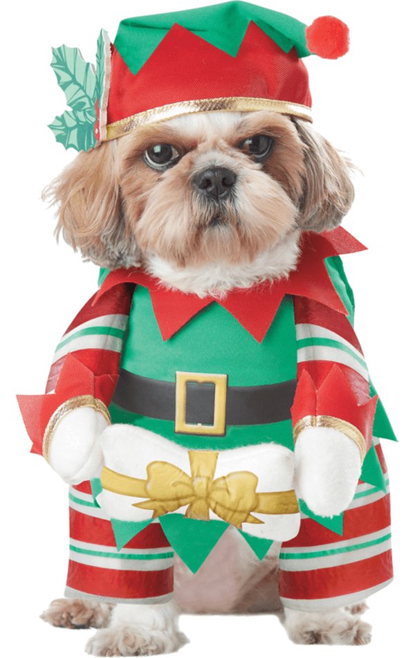 Elf Pup Christmas Dog Costume - Simply Fancy Dress