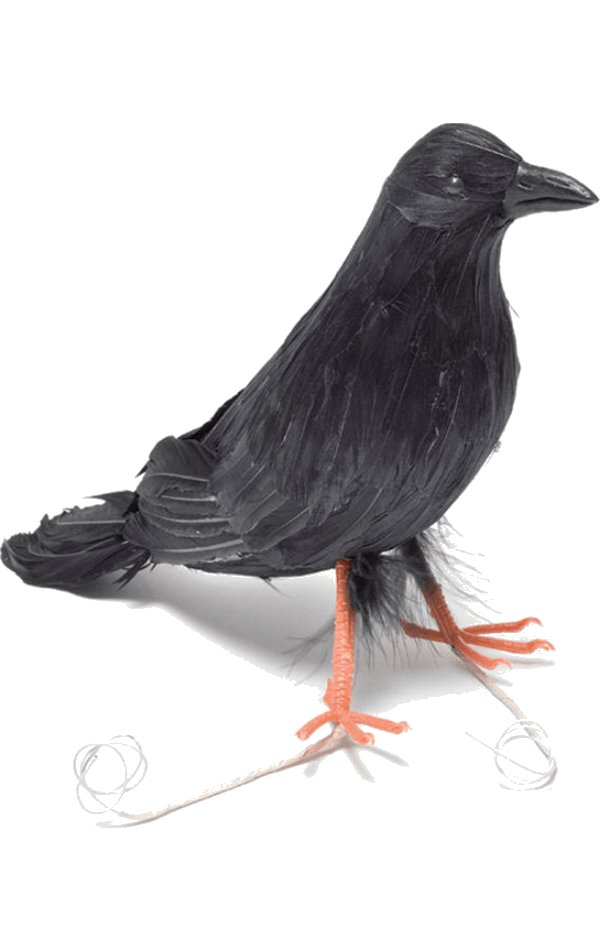 Feather Raven Bird - Simply Fancy Dress