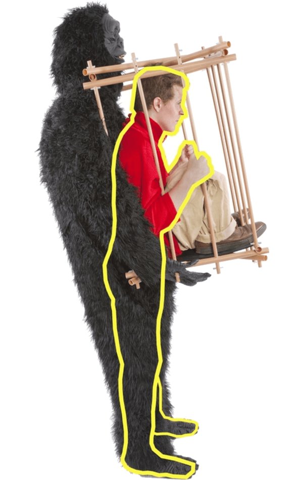 Gorilla & Cage Costume - Simply Fancy Dress