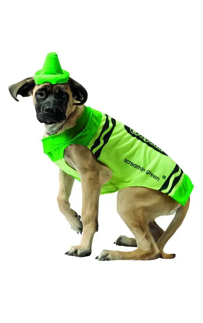 Green Crayola Dog Costume - Simply Fancy Dress