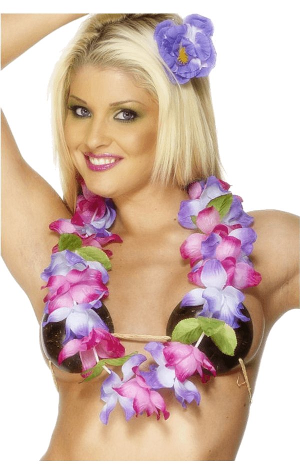 Hawaiian Garland (Pink & Purple) - Simply Fancy Dress