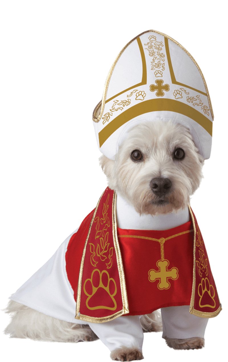 Holy Hound Dog Costume - Simply Fancy Dress
