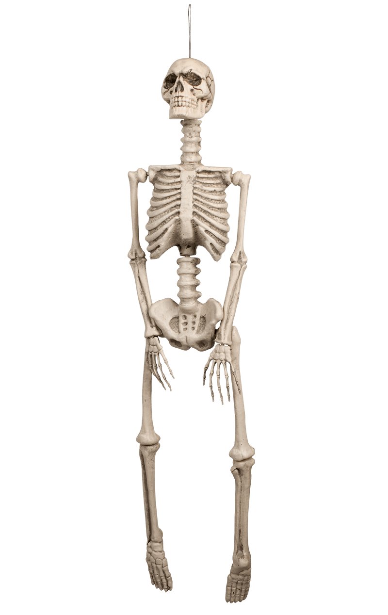 Human Skeleton Decoration - Simply Fancy Dress