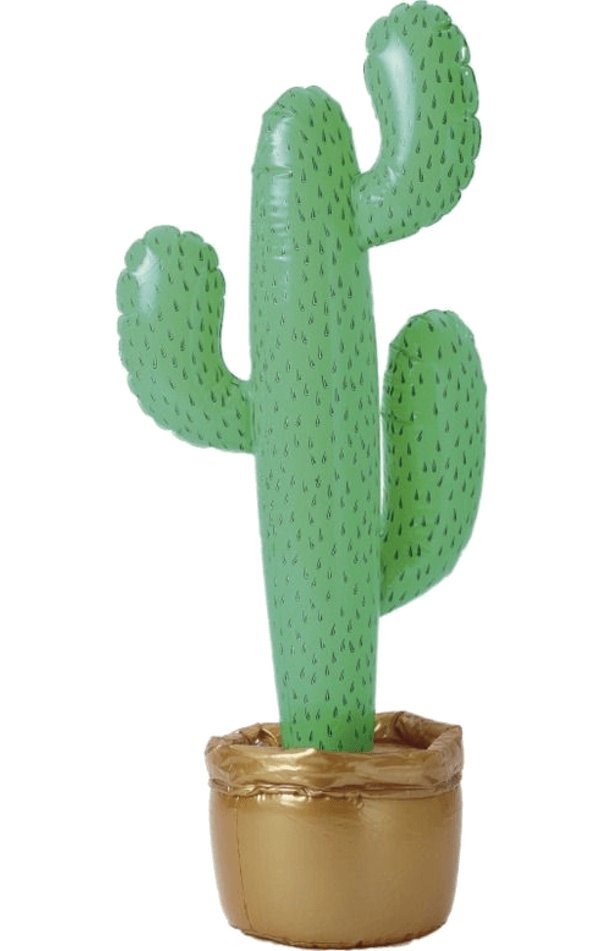 Inflatable 3ft Cactus - Simply Fancy Dress