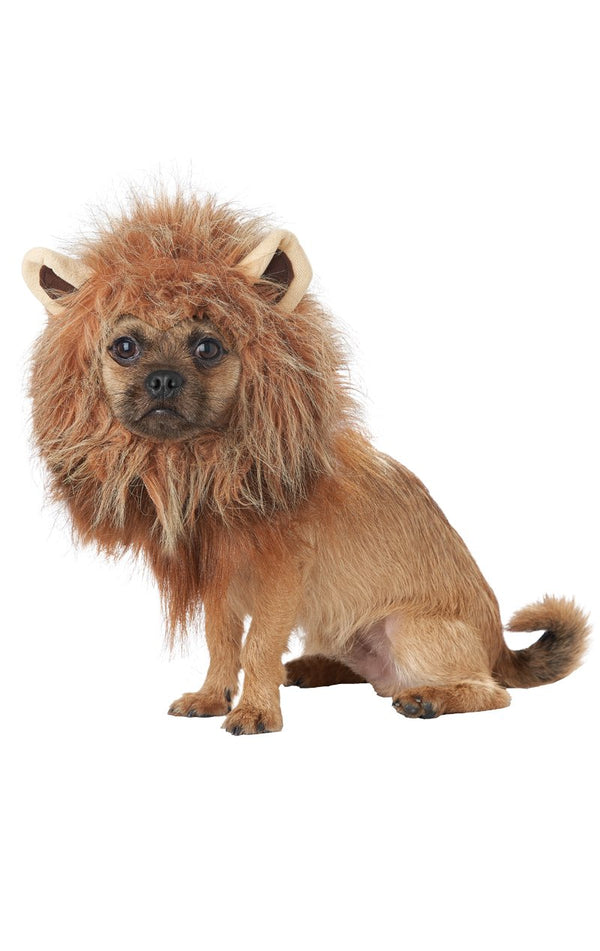King of the Jungle - Simply Fancy Dress
