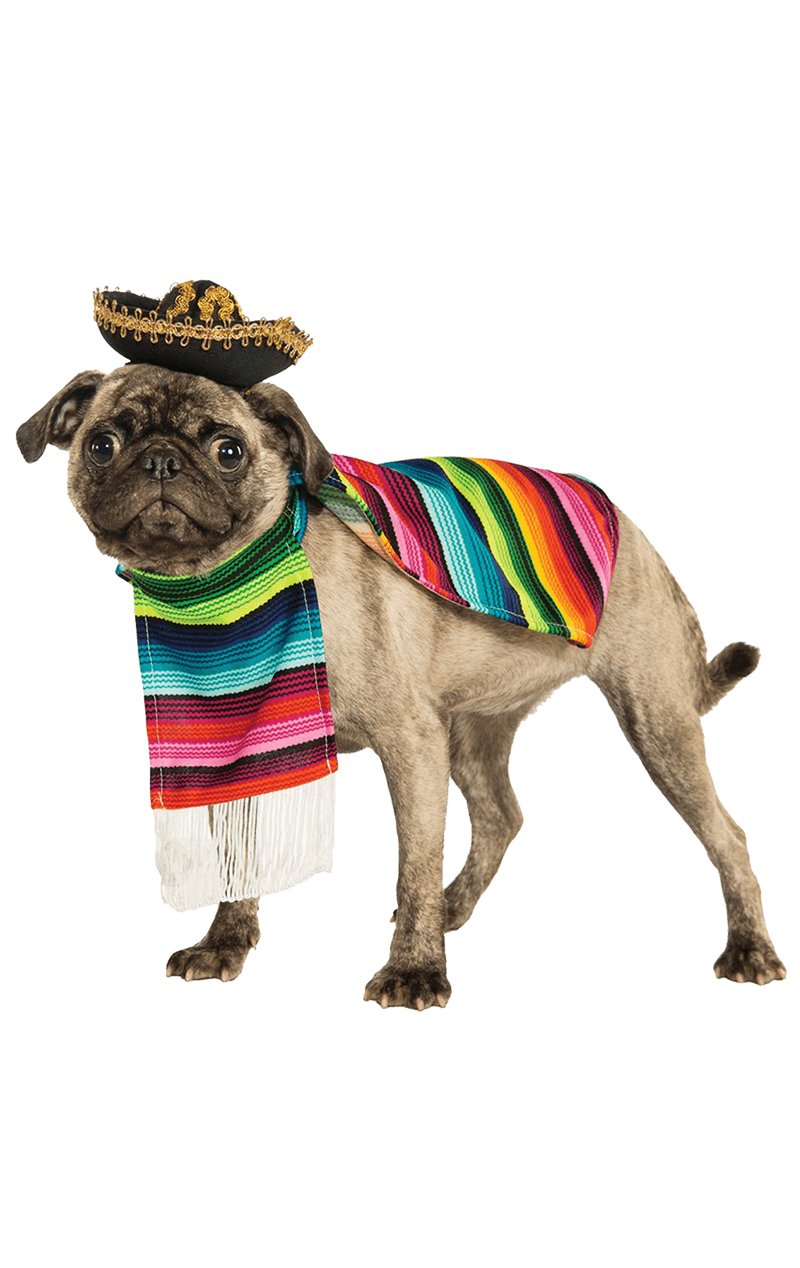 Mexican Dog Costume - Simply Fancy Dress