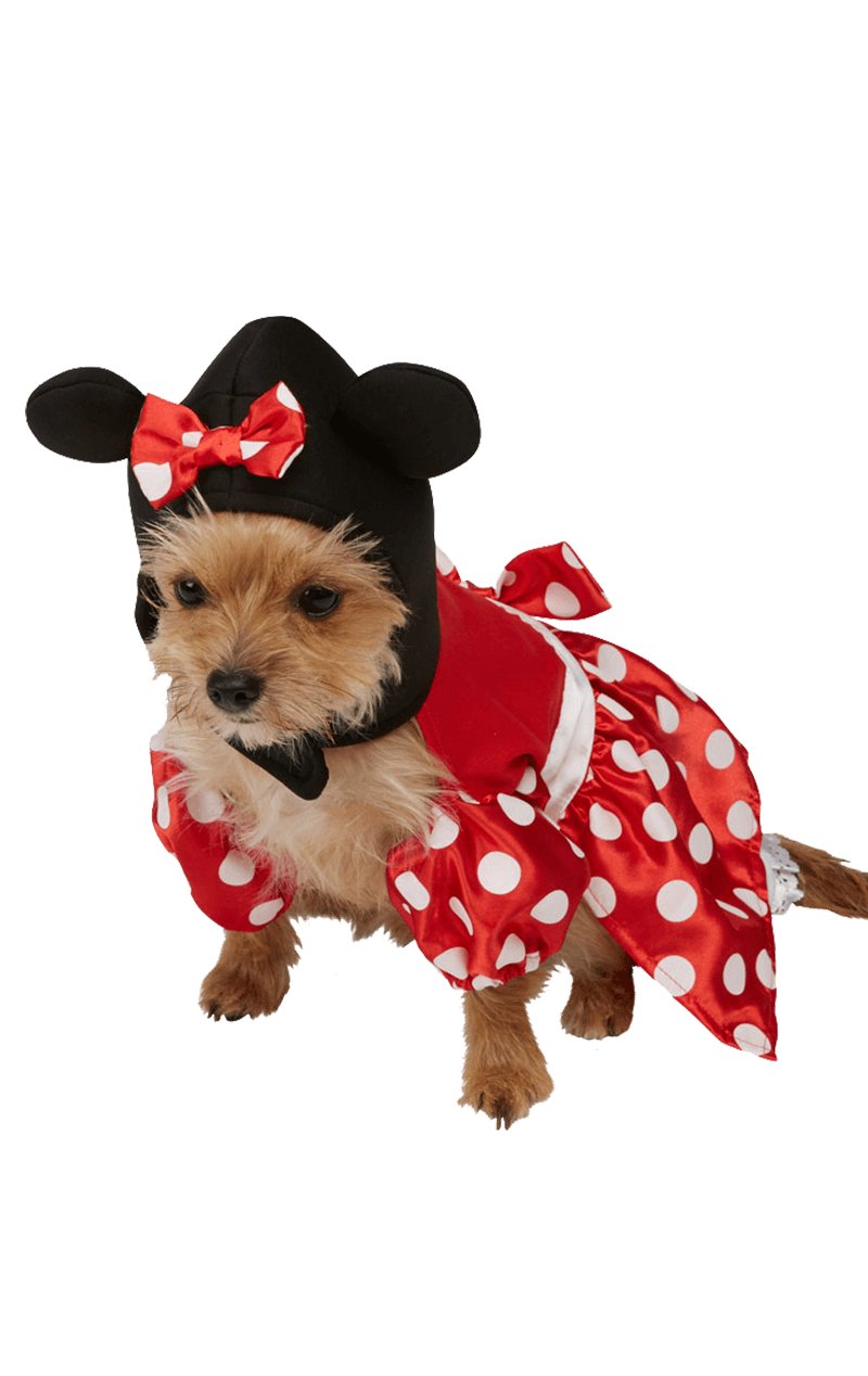 Minnie Mouse Dog Costume - Simply Fancy Dress
