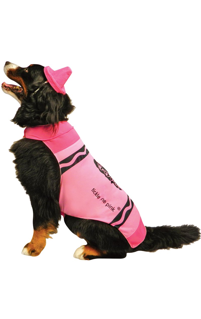 Pink Crayola Dog Costume - Simply Fancy Dress