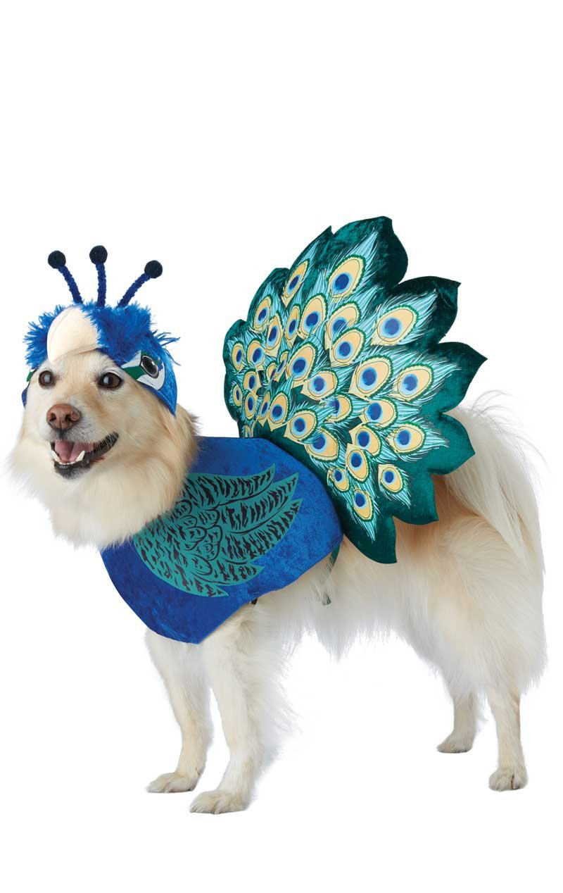 Pretty as a Peacock Dog Costume - Simply Fancy Dress