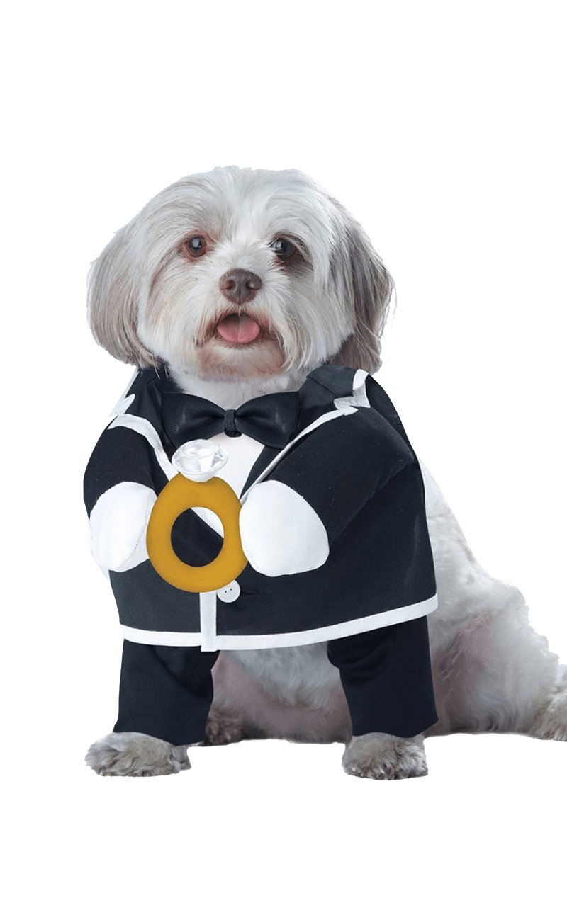 Puppy Groom Dog Costume - Simply Fancy Dress