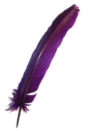 Purple Broad Feather Accessory - Simply Fancy Dress