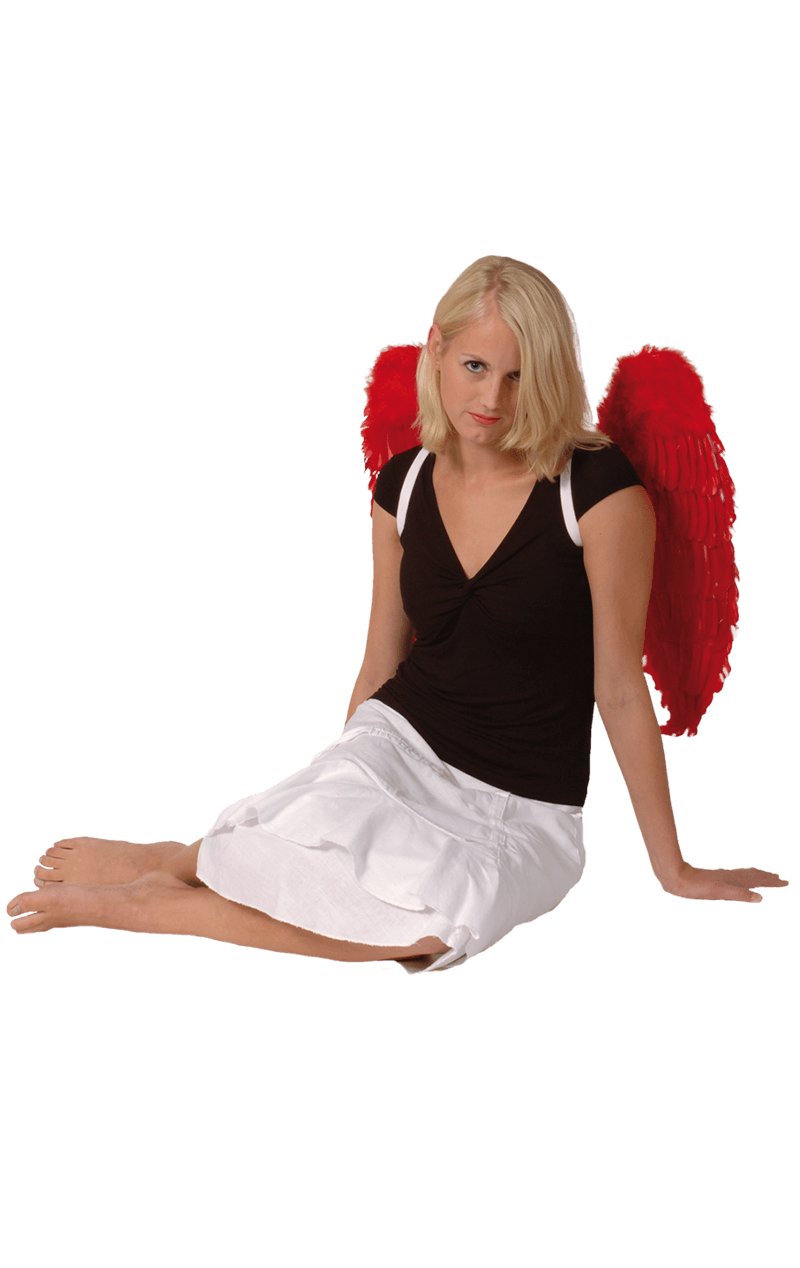 Red Feather Wings 65x65cm - Simply Fancy Dress