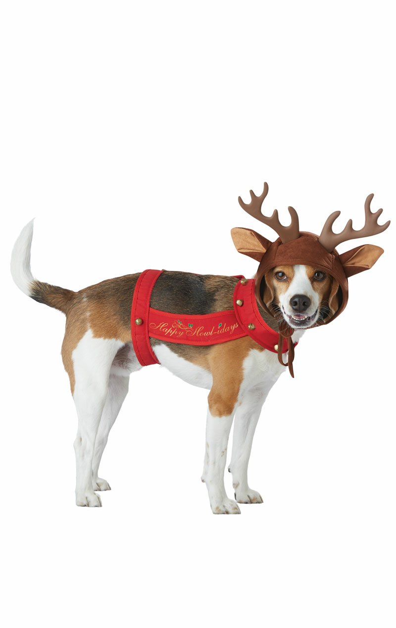 Reindeer Dog Costume - Simply Fancy Dress