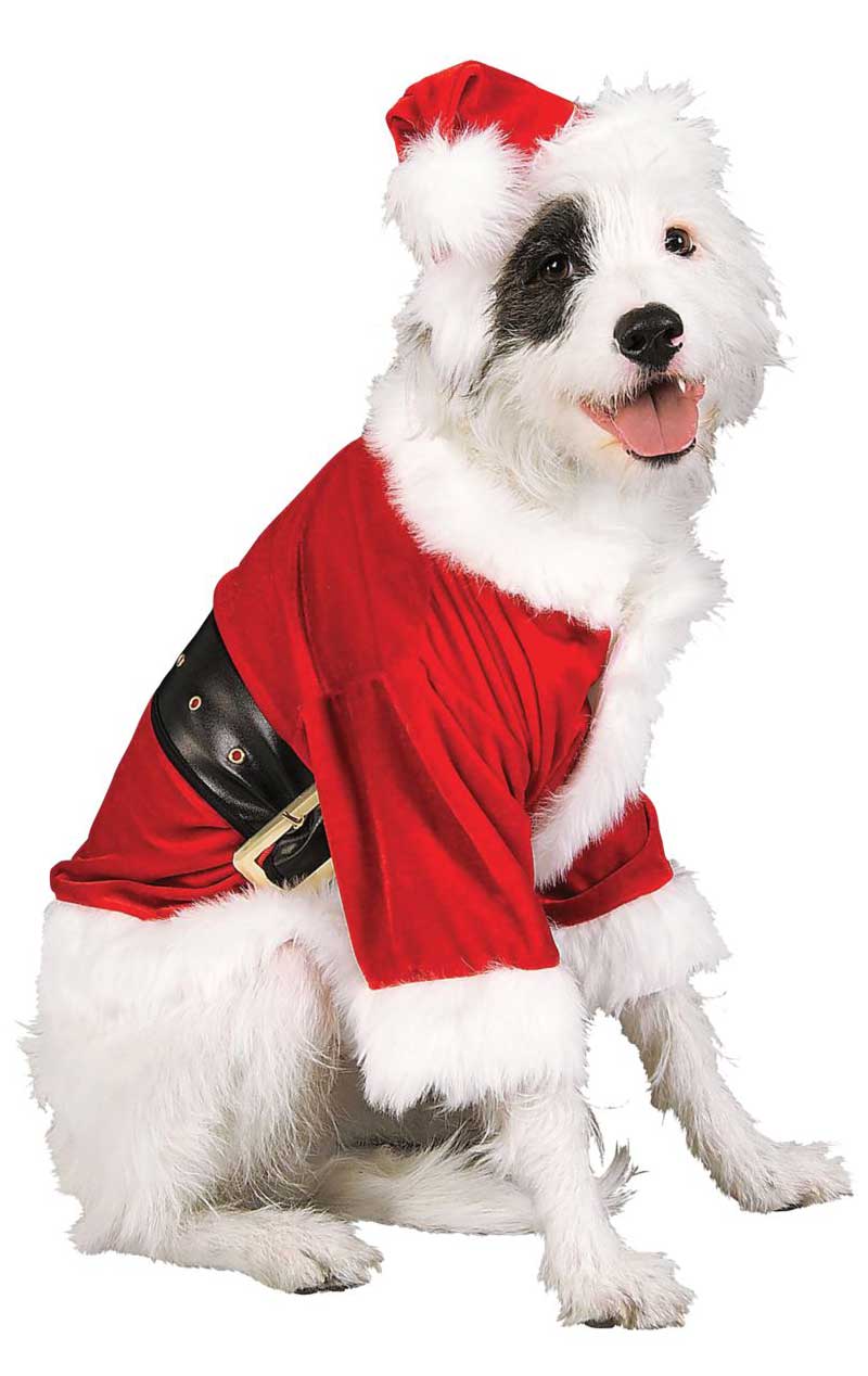 Santa Claus Pet Costume - Simply Fancy Dress