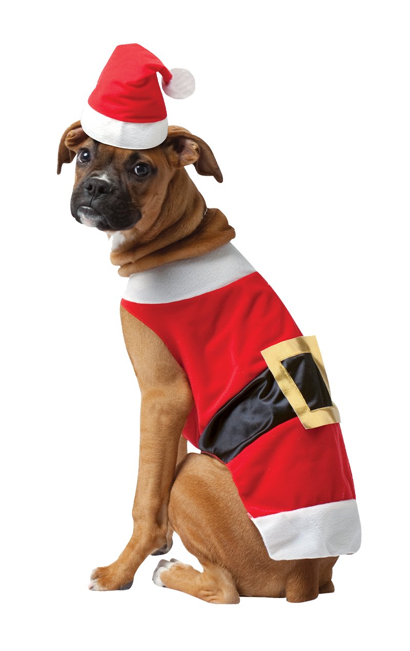 Santa Dog - Simply Fancy Dress