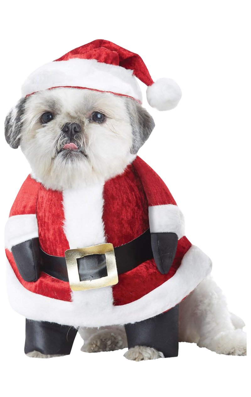 Santa Paws Christmas Dog Costume - Simply Fancy Dress