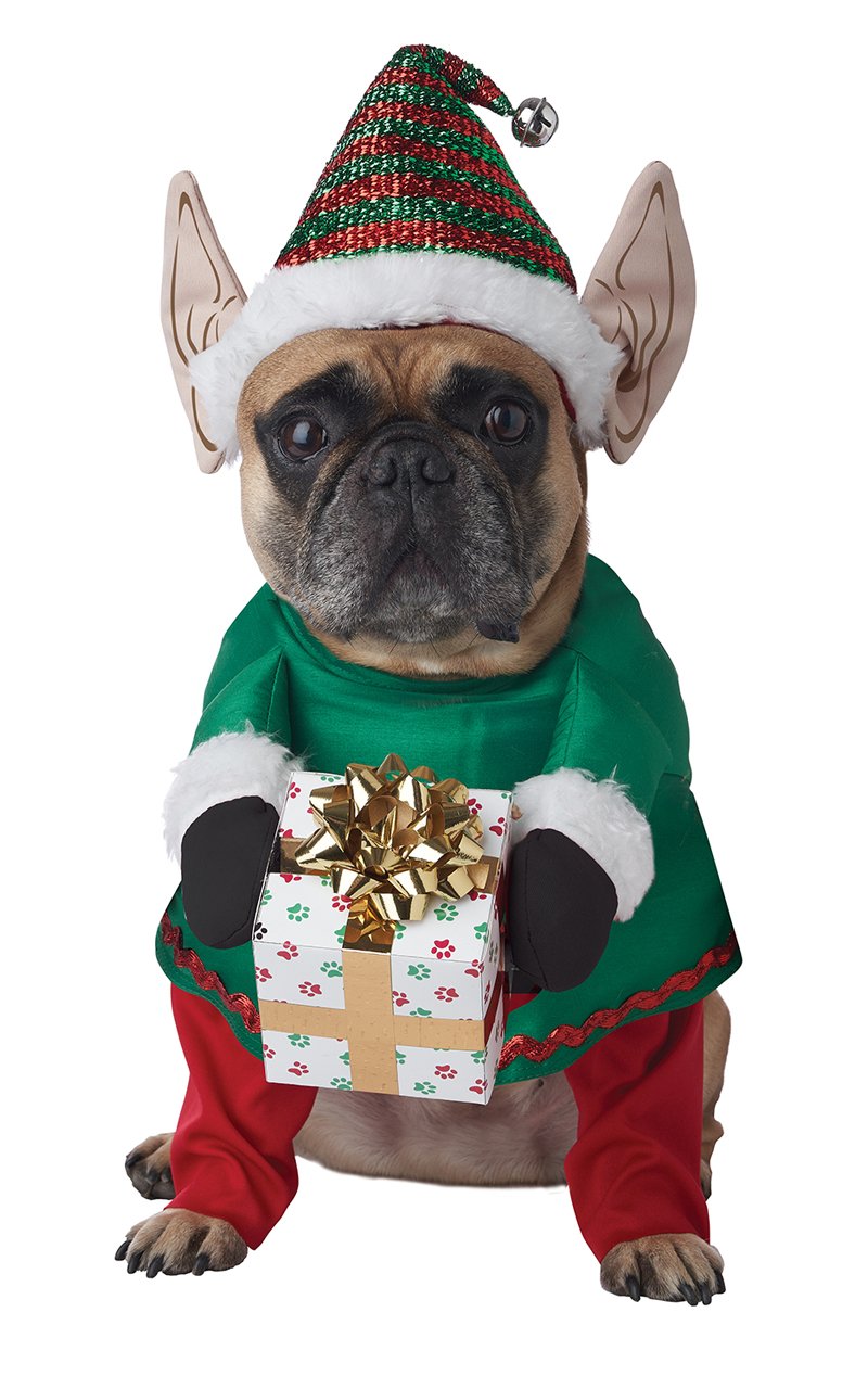 Santa's Little Yelper Dog Costume - Simply Fancy Dress