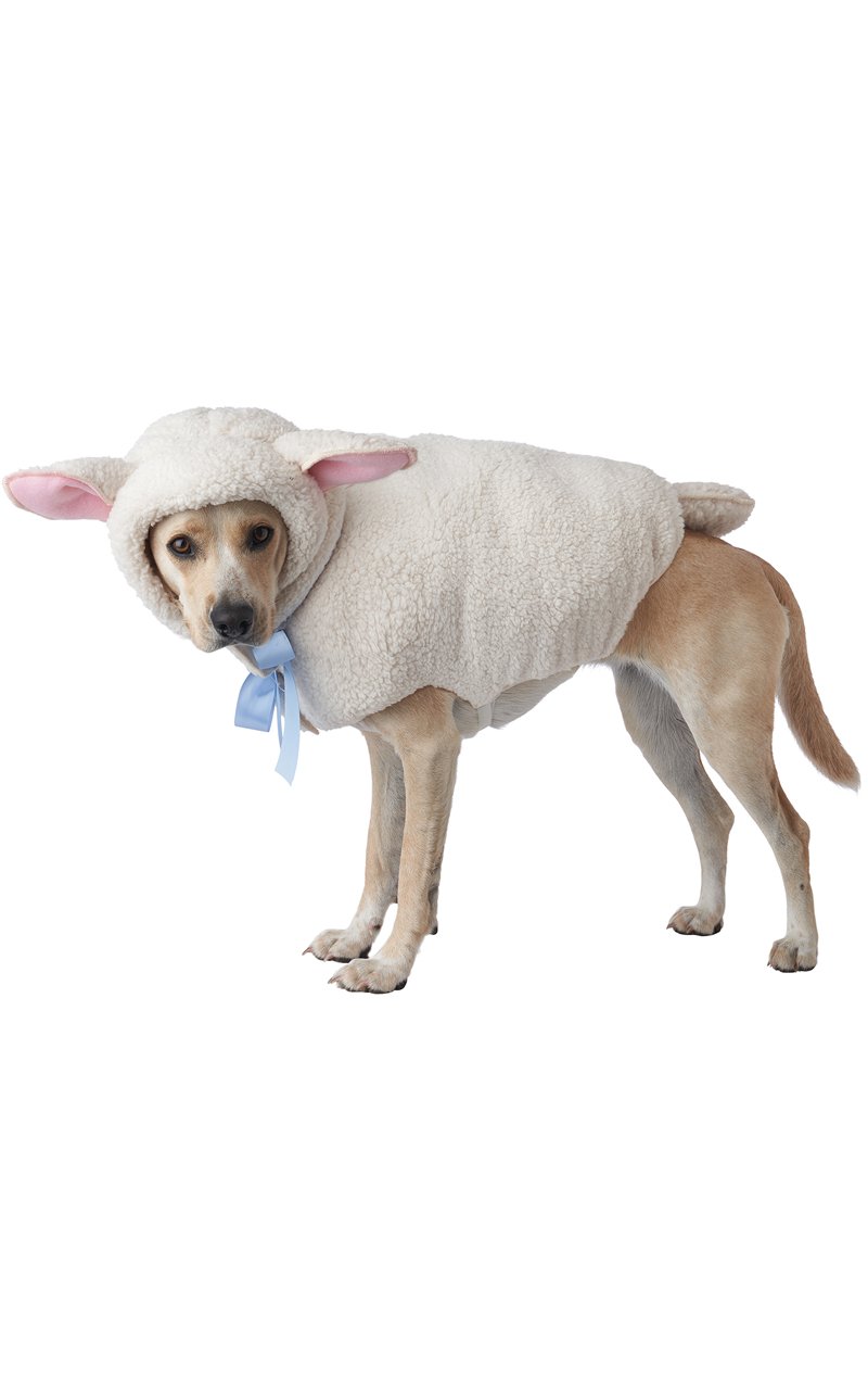 Sheep Dog Costume - Simply Fancy Dress