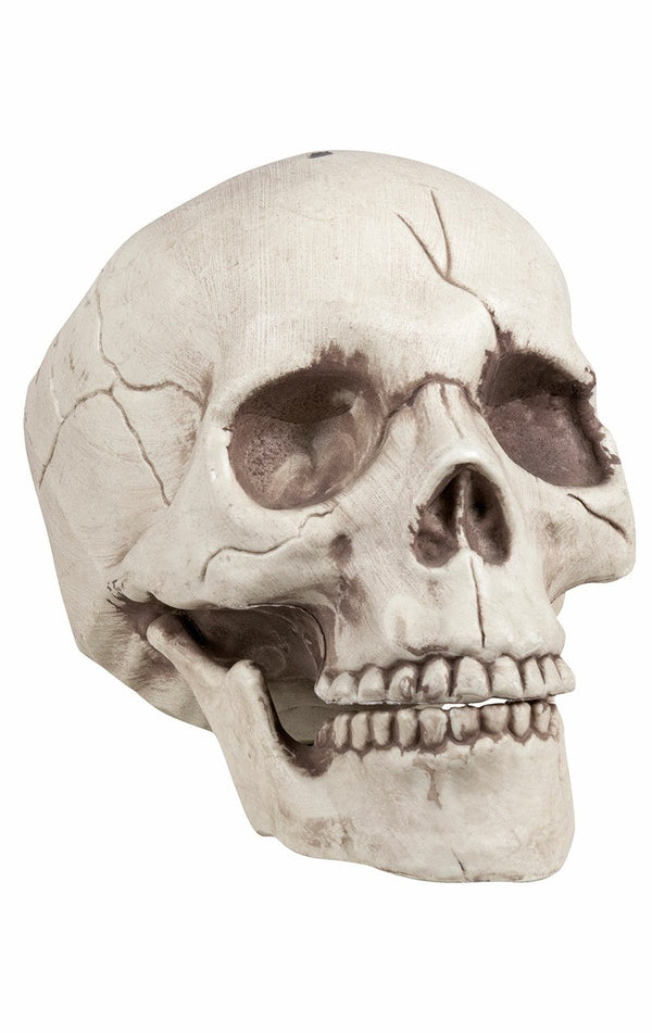 Skull Jawbone with Movable Jaw Accessory - Simply Fancy Dress