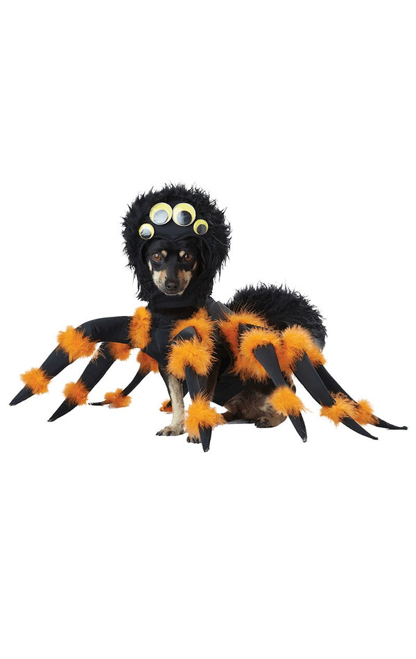 Spider Dog Costume - Simply Fancy Dress