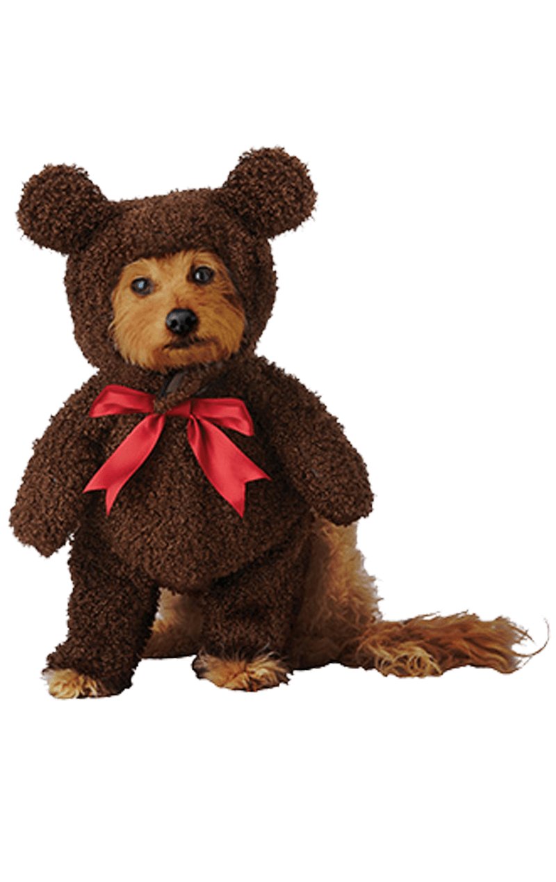 Teddy Bear - Simply Fancy Dress