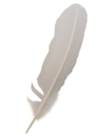 White Turkey Broad Feather - Simply Fancy Dress